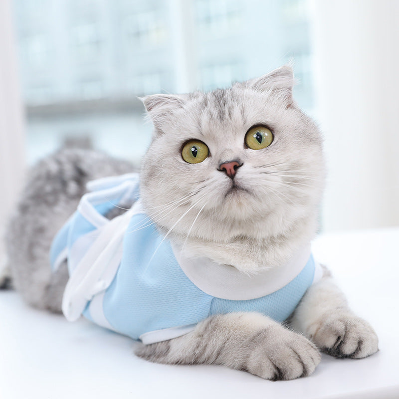 Summer Cat Care Suit