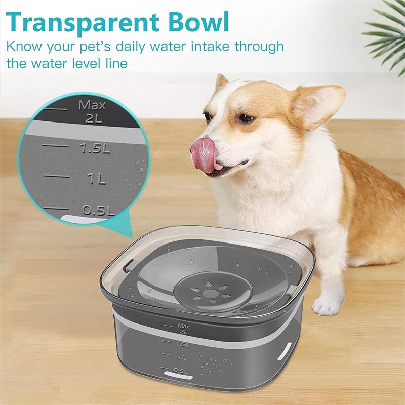 Spill Proof Bowl Transparent ￼Slow Drinking Bowl For Dogs And Cats - Skye's Zoo